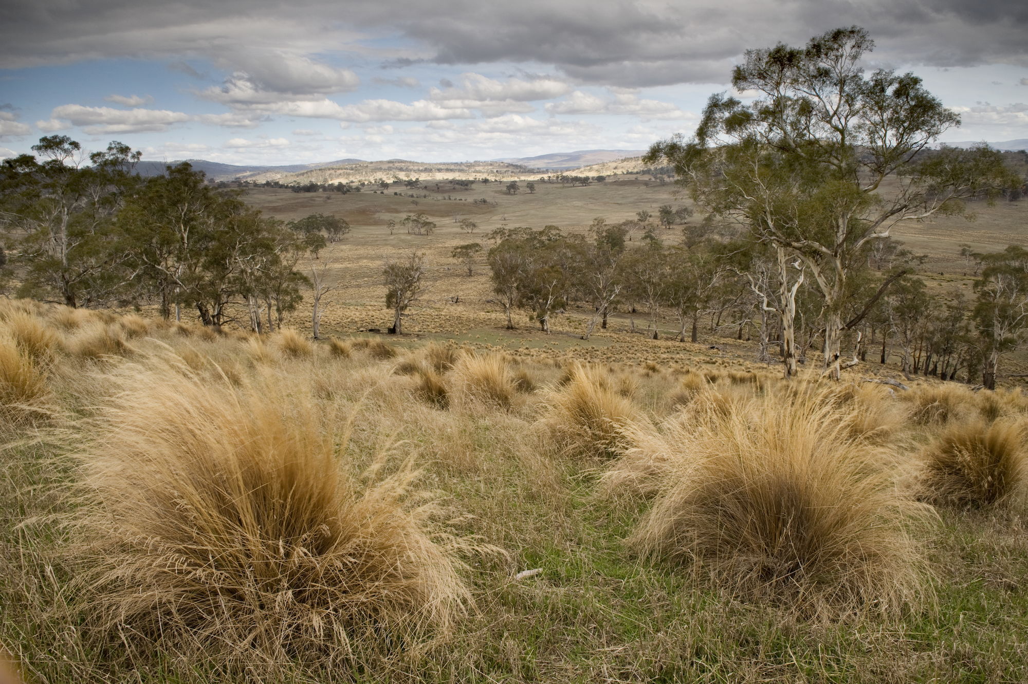 Bush Heritage Australia Fund Pays Farmers For Conservation | FS ...