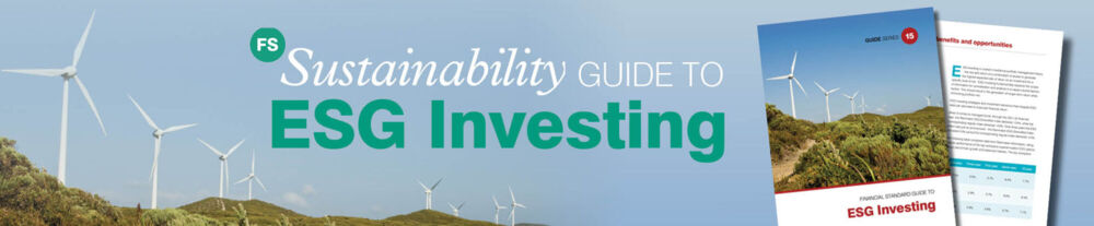 The Guide to ESG Investing | FS Sustainability